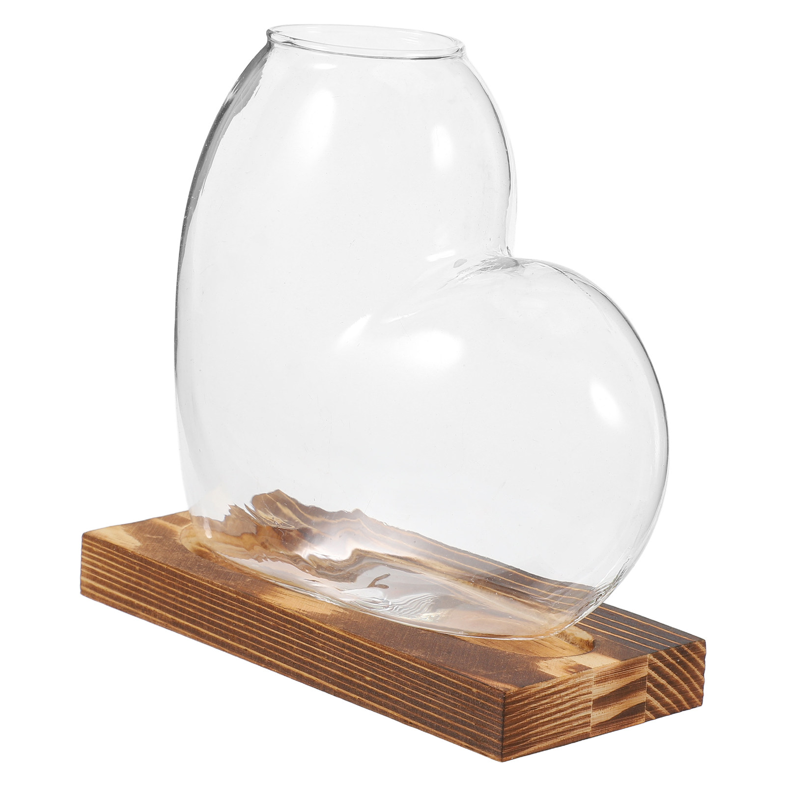 Propagation Station Vase - Гидропонная стеклянная ваза, прозрачная станция для