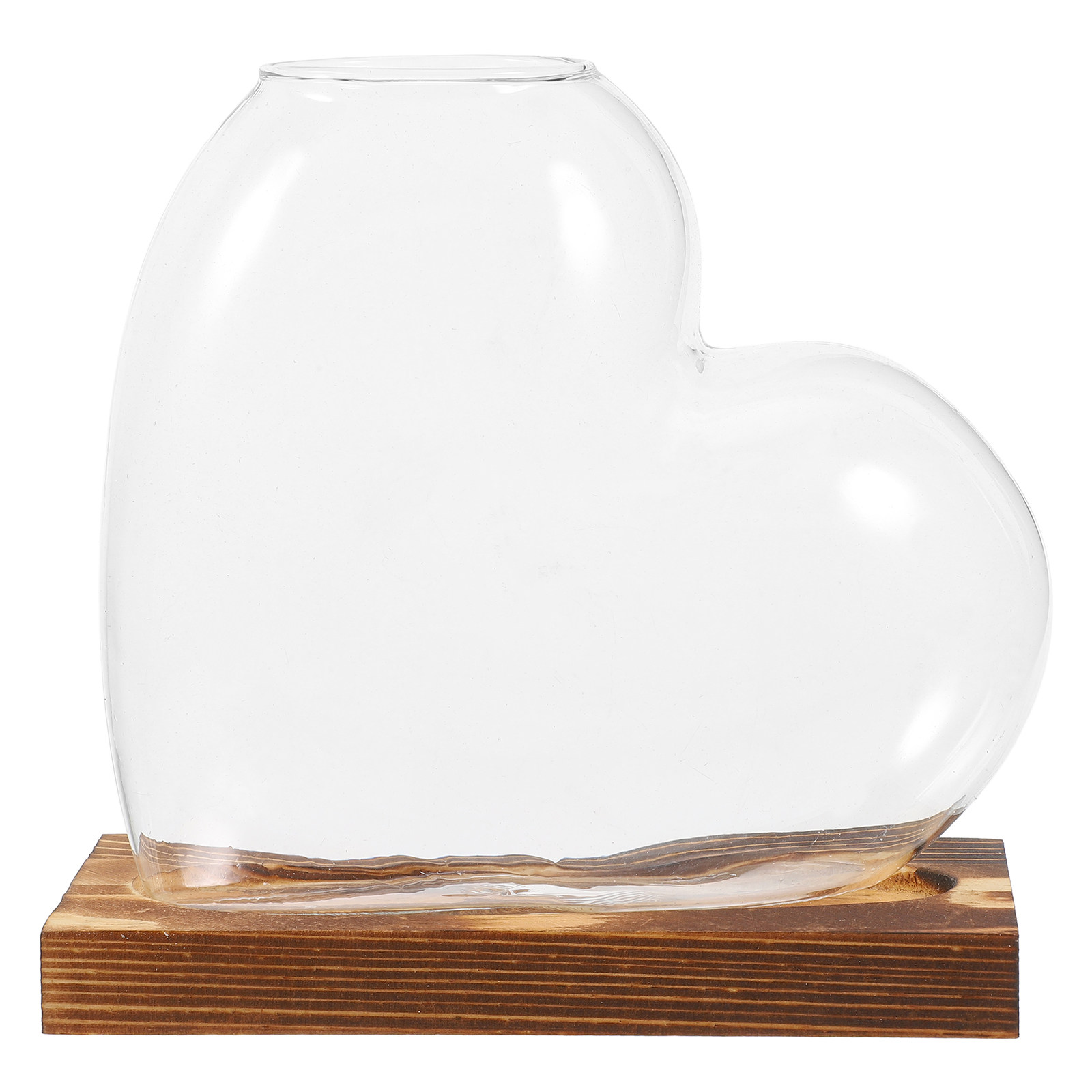 Гидропонная стеклянная ваза, п – обзор и цена Propagation Station Vase