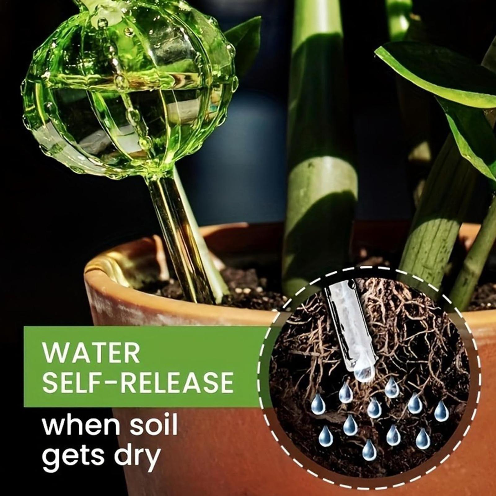 Самополивающиеся колышки для р – обзор и цена Self Watering Insert